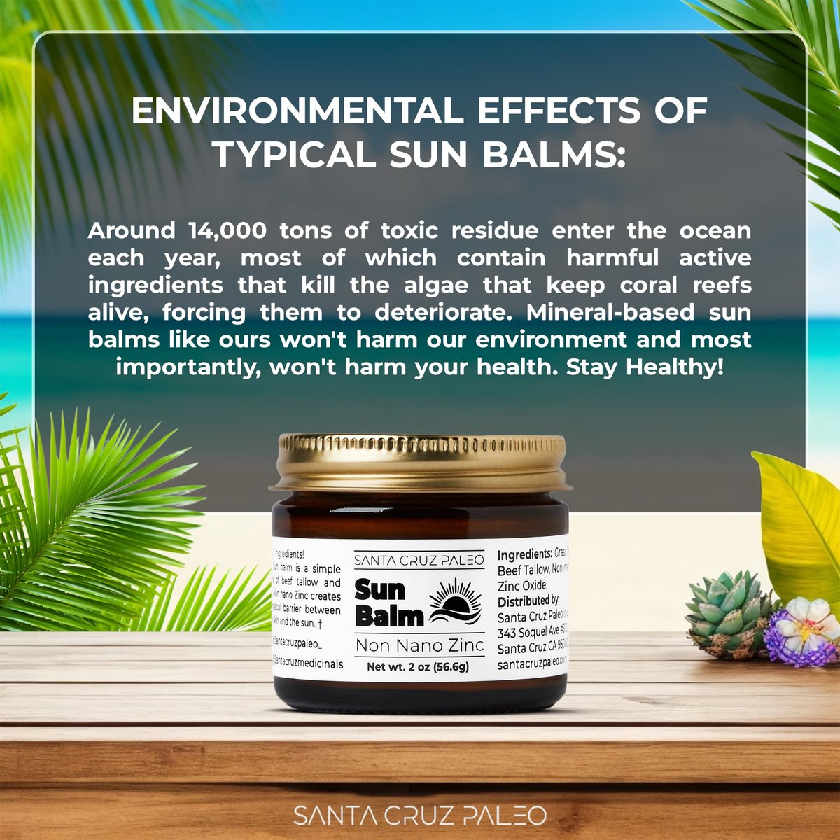 Santa Cruz Paleo Beef Tallow Sun Balm with Non-Nano Zinc Oxide – Unscented Natural Mineral Sun Protection for Face & Body, Acne Safe, Non-Comedogenic Moisturizer, Organic Balm, 2 Oz Avelisse