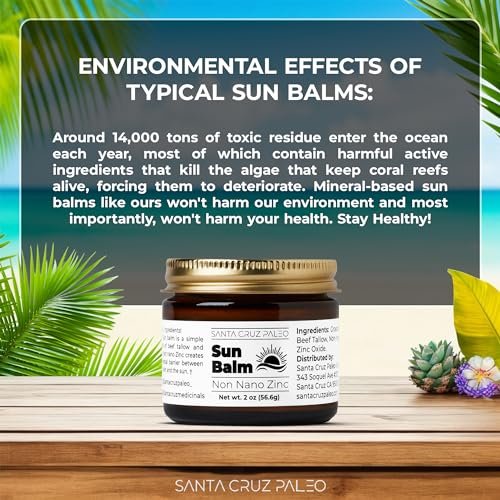 Santa Cruz Paleo Beef Tallow Sun Balm with Non-Nano Zinc Oxide – Unscented Natural Mineral Sun Protection for Face & Body, Acne Safe, Non-Comedogenic Moisturizer, Organic Balm, 2 Oz Avelisse