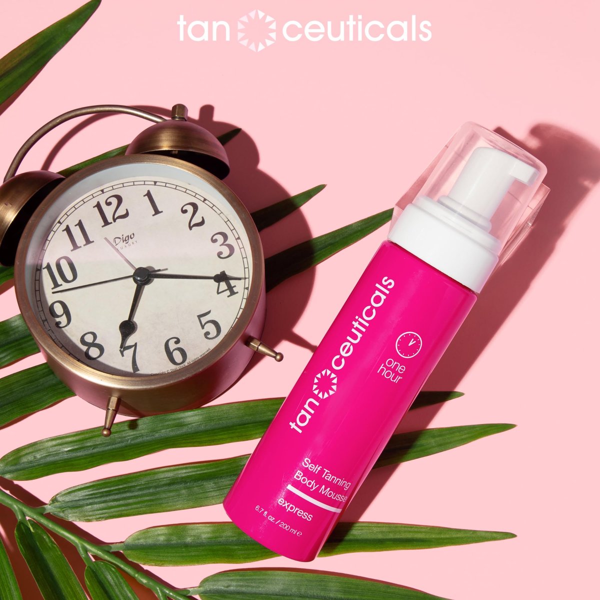 Tanceuticals Express Self Tanning Body Mousse - Fast Acting Sunless Tanner, Natural Bronze Color, Vegan & Cruelty Free with Acai Berry, Pomegranate & Argan Oil (6.7 oz) Avelisse