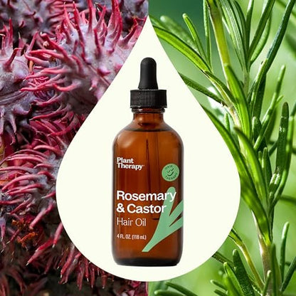 Plant Therapy Rosemary & Castor Oil Hair Treatment - 4 oz for Growth, Shine & Scalp Health Avelisse