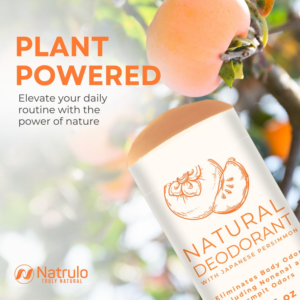 Natrulo Persimmon Deodorant – All-Natural Whole Body Deodorant with Japanese Persimmon Extract, Aluminum Free, Long Lasting, for Women and Men, 2.65 oz - görsel 13