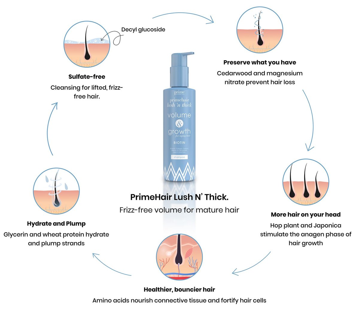 Prime Prometics PrimeHair Lush N' Thick Shampoo for Mature Women – Biotin Enriched, Sulfate-Free & Paraben-Free Volumizing Hydrating Shampoo (8.45 Fl Oz) Avelisse