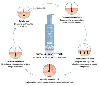 Prime Prometics PrimeHair Lush N' Thick Shampoo for Mature Women – Biotin Enriched, Sulfate-Free & Paraben-Free Volumizing Hydrating Shampoo (8.45 Fl Oz) Avelisse