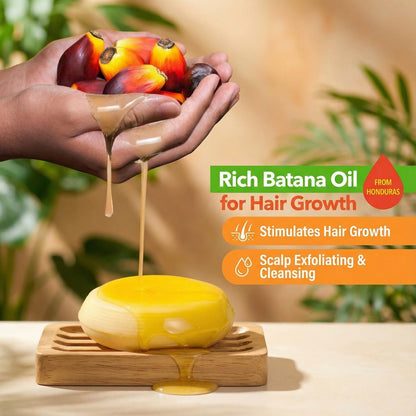 BEAUT’E SEOUL Batana Oil Shampoo Bar for Hair Growth – Cold-Pressed from Honduras, Natural Herbal Blend, PHA Scalp Exfoliating Cleanser, Sulfate-Free & pH Balanced, 3.52 oz Avelisse