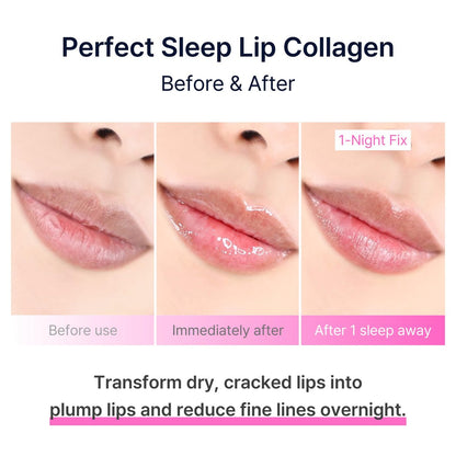 Perfect Sleep Lip Collagen - Intensive Collagen Lip Sleeping Mask with Peptides, Rice Protein & Willow Bark Extract for Overnight Plumping, Repairing & Smoothing Avelisse