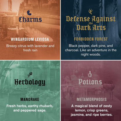 Every Man Jack Harry Potter Collectors Men's Body Wash Gift Set – 4 Hogwarts Inspired Scents, Clean Ingredients, 13.5 oz Each Avelisse