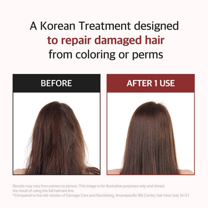 RYO Damage Care & Nourishing Treatment with Korean Ginseng & Caffeine - Deep Conditioning Hair Mask for Repair, Moisturizing, and Anti-Loss Care, Strengthening Hair Roots, 10 Fl Oz Avelisse