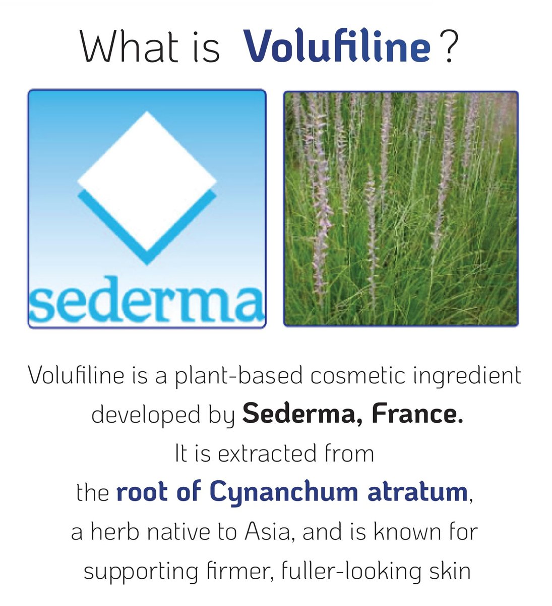 100% Volufiline 30ml (1 Fl Oz) – Patented Cosmetic Ingredient from SEDERMA France – DIY Skin Care Additive Avelisse