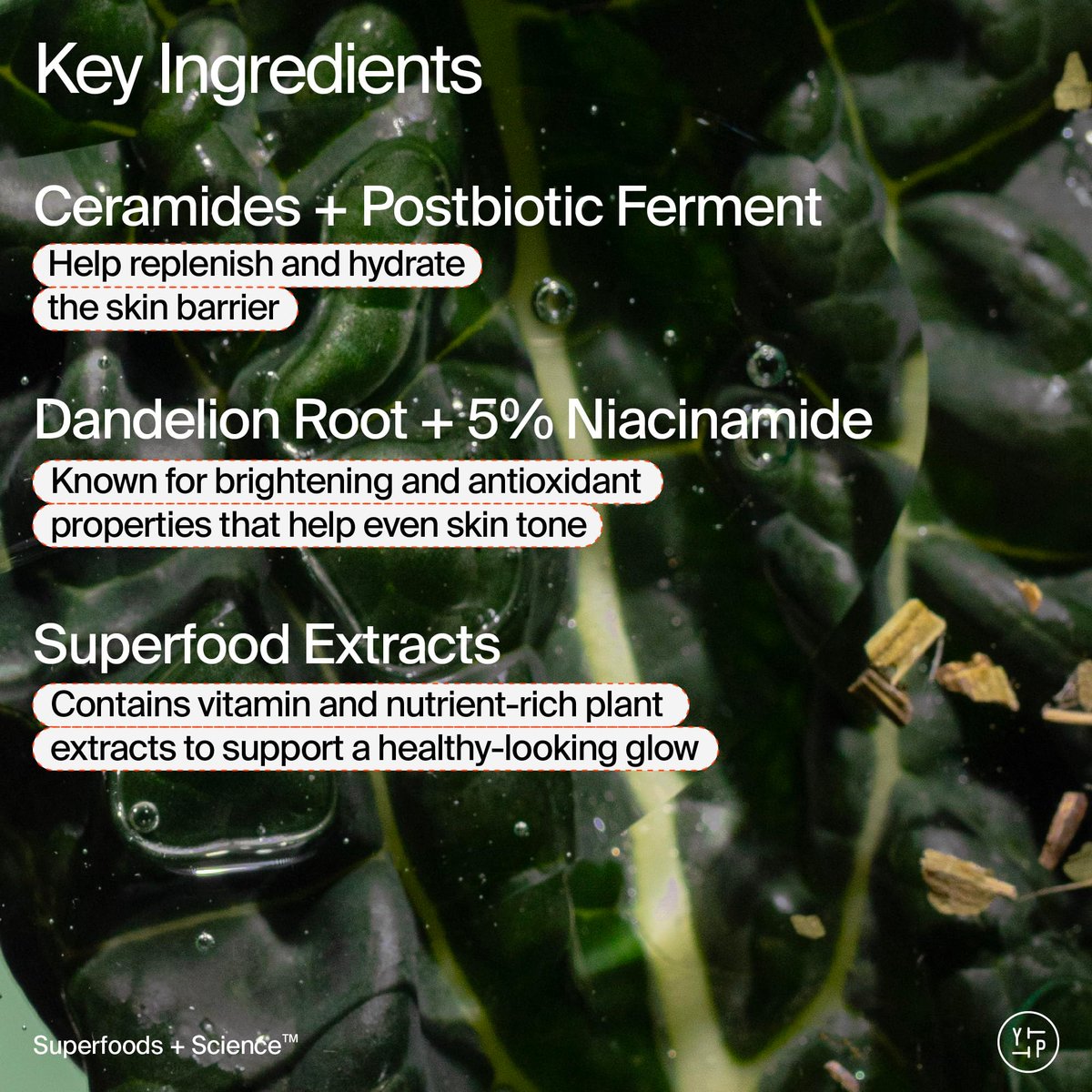 Youth To The People Superfood Skin Drip Glow Barrier Serum - Peptides + Niacinamide - Strengthen, Even Tone, Smooth Texture - Dewy Primer - Vegan - 1 fl oz Avelisse
