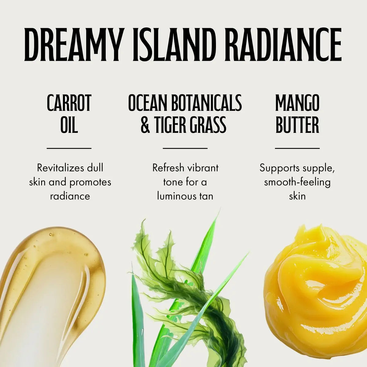 Brown Sugar Daiquiri Dream After Dark Tan Extender & Tattoo Enhancer, Mango Butter Carrot Oil & Hibiscus with Tigergrass & Ocean Botanicals, 18 Fl Oz Avelisse