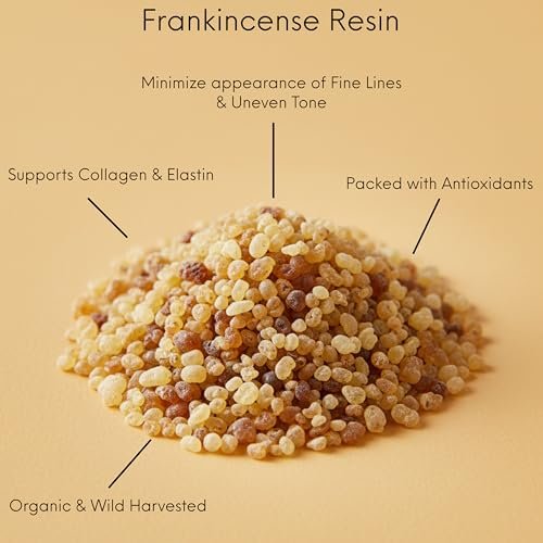Frankincense Resin Infused Organic Black Seed, Castor & Jojoba Oils Face Anti-Aging Serum - Cold Pressed Natural Skincare Moisturizer for Glowing Skin, 1 Fl Oz Avelisse