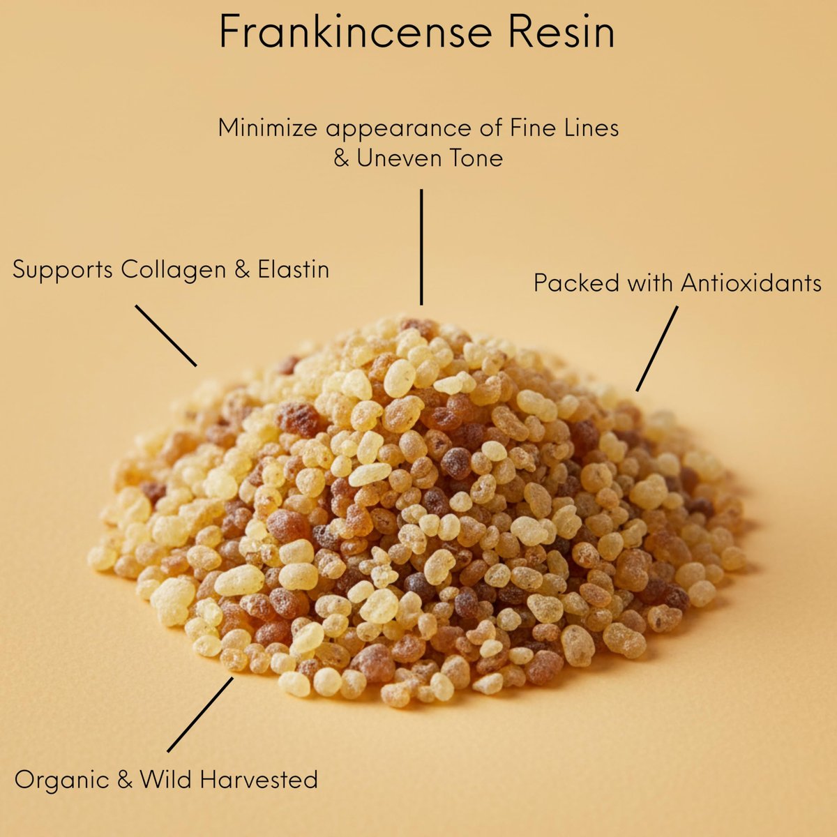 Frankincense Resin Infused Organic Black Seed, Castor & Jojoba Oils Face Anti-Aging Serum - Cold Pressed Natural Skincare Moisturizer for Glowing Skin, 1 Fl Oz Avelisse