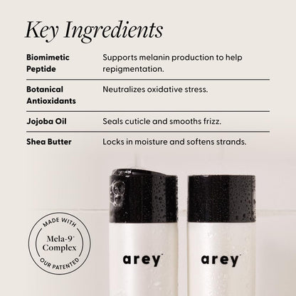 Arey Shower Duo Daily Wash Shampoo and Smooth Conditioner Set - Delay & Reduce Signs of Aging Grey Hair, Retain Moisture, Promote Smoothness - Vegan, Gluten-Free & Cruelty Free (2 Pack) Avelisse