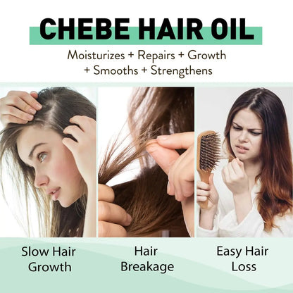 Chebe & Rosemary Hair Oil for Growth, 10 in 1 Moisturizer for Scalp, African Powder for Stronger, Longer Hair, Natural Oil for All Hair Types (2PCS) Avelisse