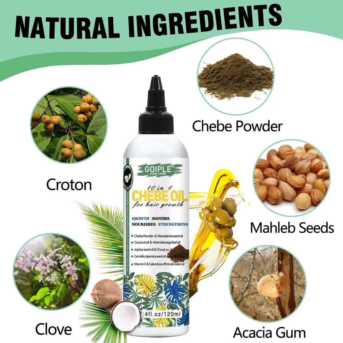 Chebe & Rosemary Hair Oil for Growth, 10 in 1 Moisturizer for Scalp, African Powder for Stronger, Longer Hair, Natural Oil for All Hair Types (2PCS) Avelisse