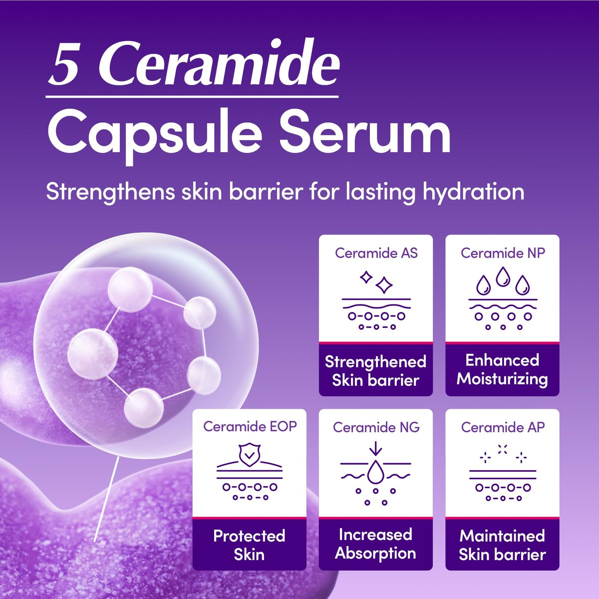 EQQUALBERRY Bakuchiol Plumping Face Serum - Retinol Alternative for Sensitive Skin with Niacinamide & Hyaluronic Acid, Pore & Wrinkle Korean Skin Care (1.01oz / 30ml) Avelisse