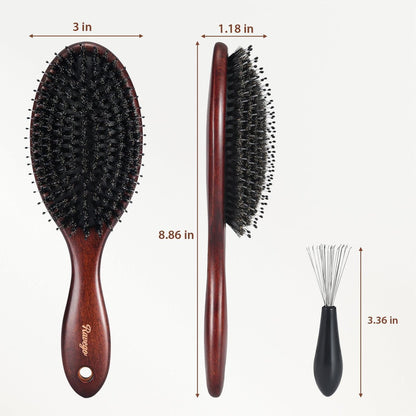 RAVEGO Boar Bristle Hair Brush – Natural Shine & Scalp Massage for Women, Men & Kids
