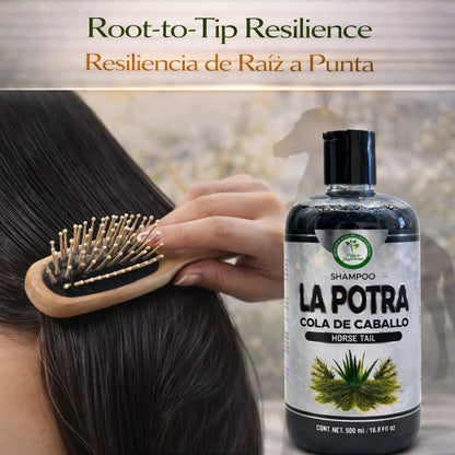 La Potra Cola de Caballo Shampoo Negro – 500ml | With Rosemary & Aloe Vera | For Dark to Black Colored Hair