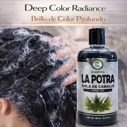 La Potra Cola de Caballo Shampoo Negro – 500ml | With Rosemary & Aloe Vera | For Dark to Black Colored Hair