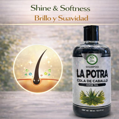 La Potra Cola de Caballo Shampoo Negro – 500ml | With Rosemary & Aloe Vera | For Dark to Black Colored Hair