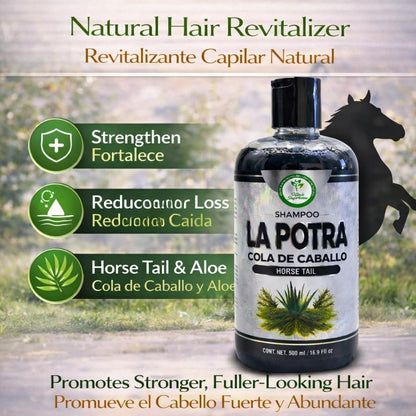 La Potra Cola de Caballo Shampoo Negro – 500ml | With Rosemary & Aloe Vera | For Dark to Black Colored Hair