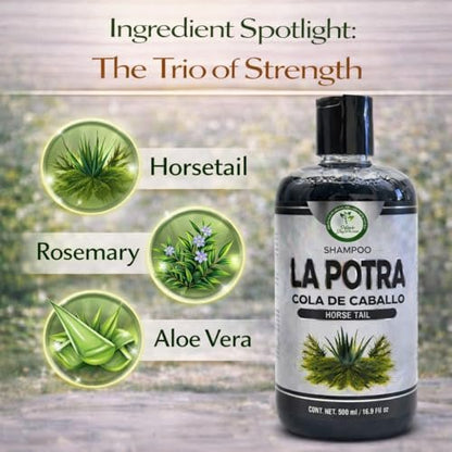 La Potra Cola de Caballo Shampoo Negro – 500ml | With Rosemary & Aloe Vera | For Dark to Black Colored Hair