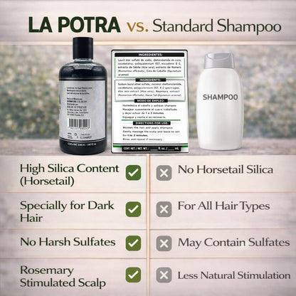 La Potra Cola de Caballo Shampoo Negro – 500ml | With Rosemary & Aloe Vera | For Dark to Black Colored Hair