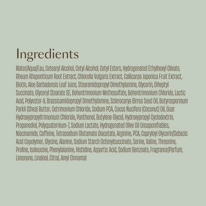VEGAMOUR GRO+ Advanced Balancing Conditioner | Hydrates Scalp, Nourishes & Softens Hair | For Signs of Thinning | Color Safe, Vegan, Cruelty-Free, No Silicones (8 Fl Oz) Avelisse