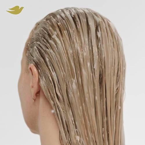 Dove Bond Strength Shampoo & Conditioner Set + Hair Serum Bundle – Repair Treatment for Damaged and Frizzy Hair (3 Piece Set) Avelisse