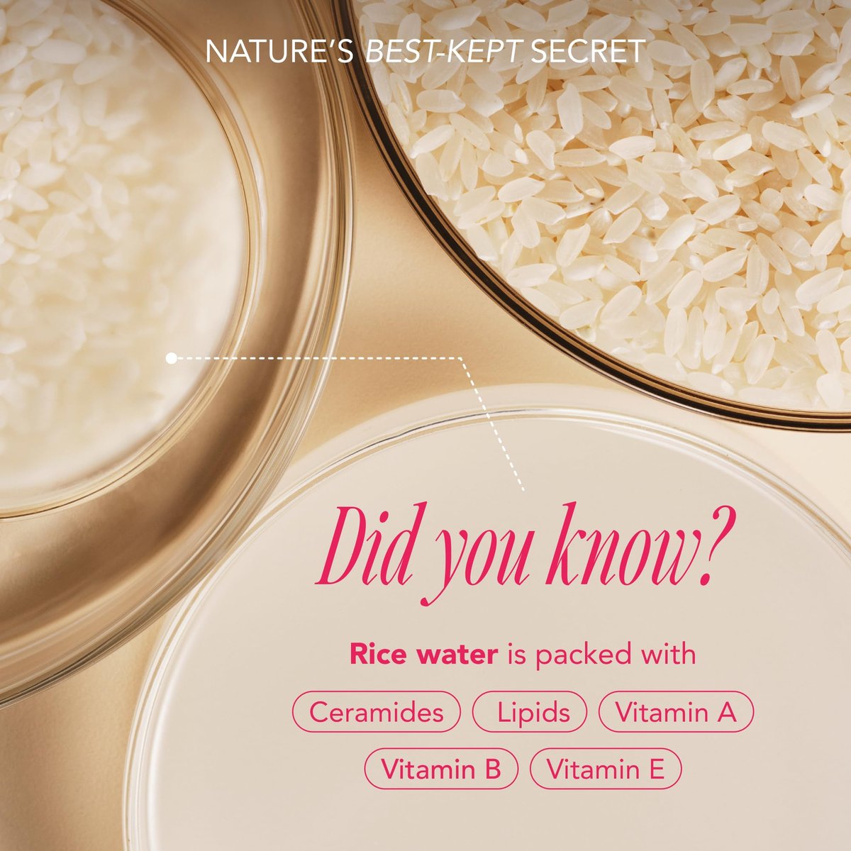 The Face Shop Rice Water Bright Vegan Double Cleanse Trial Set – Travel Size Foaming Cleanser & Mini Cleansing Oil for Gentle Makeup Removal and Pore Control Avelisse