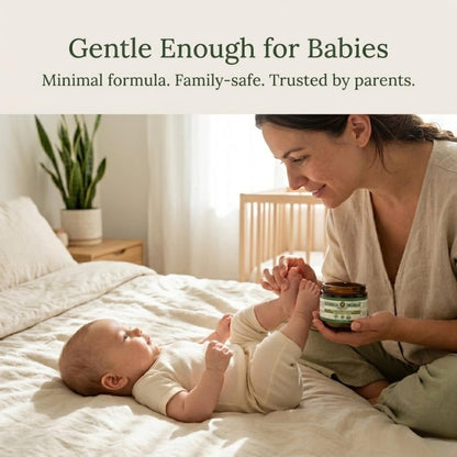 Organic Beef Tallow Balm for Skin – USDA-Certified, Unscented & Herb-Infused with Jojoba Oil & Cocoa Butter – 2 oz Avelisse