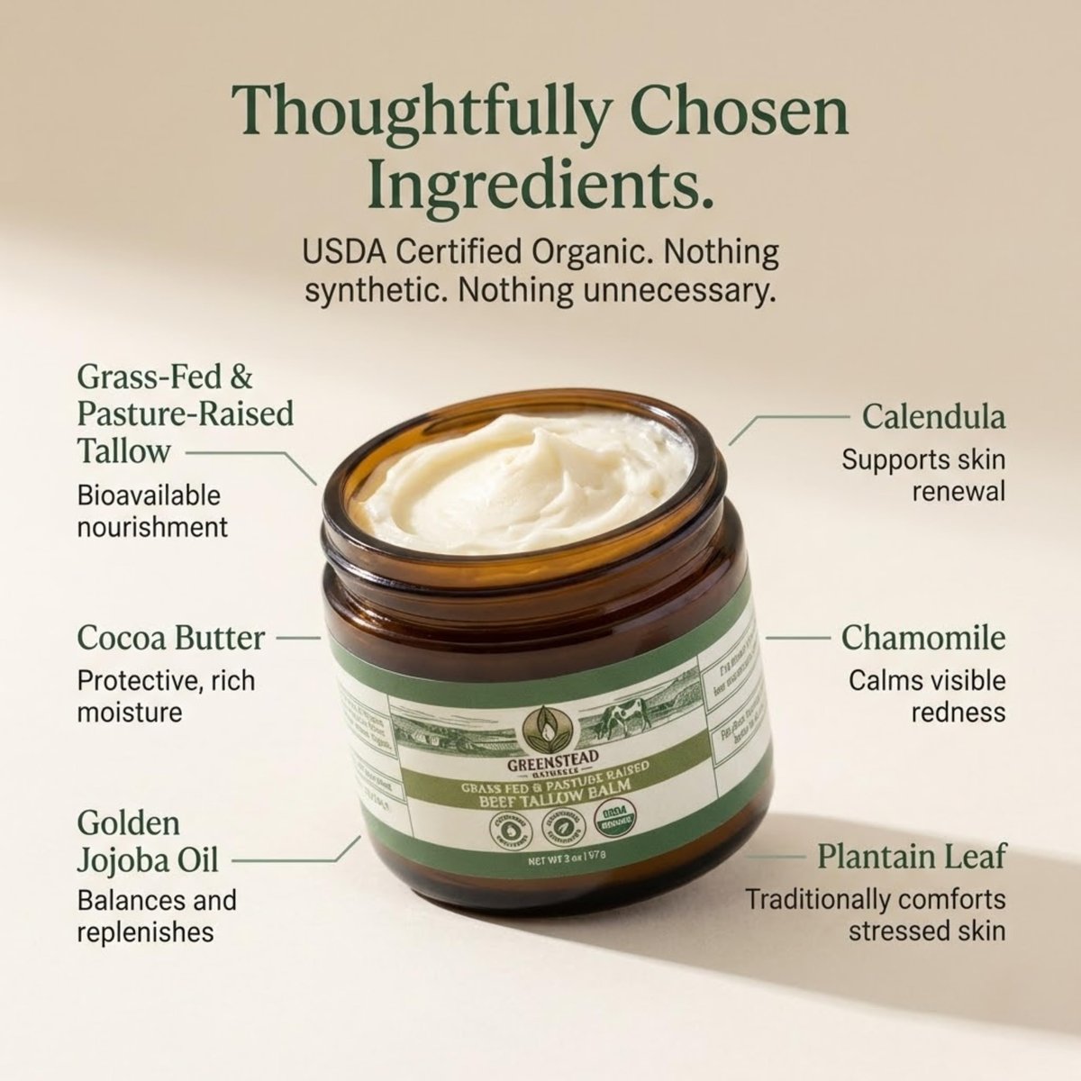 Organic Beef Tallow Balm for Skin – USDA-Certified, Unscented & Herb-Infused with Jojoba Oil & Cocoa Butter – 2 oz Avelisse