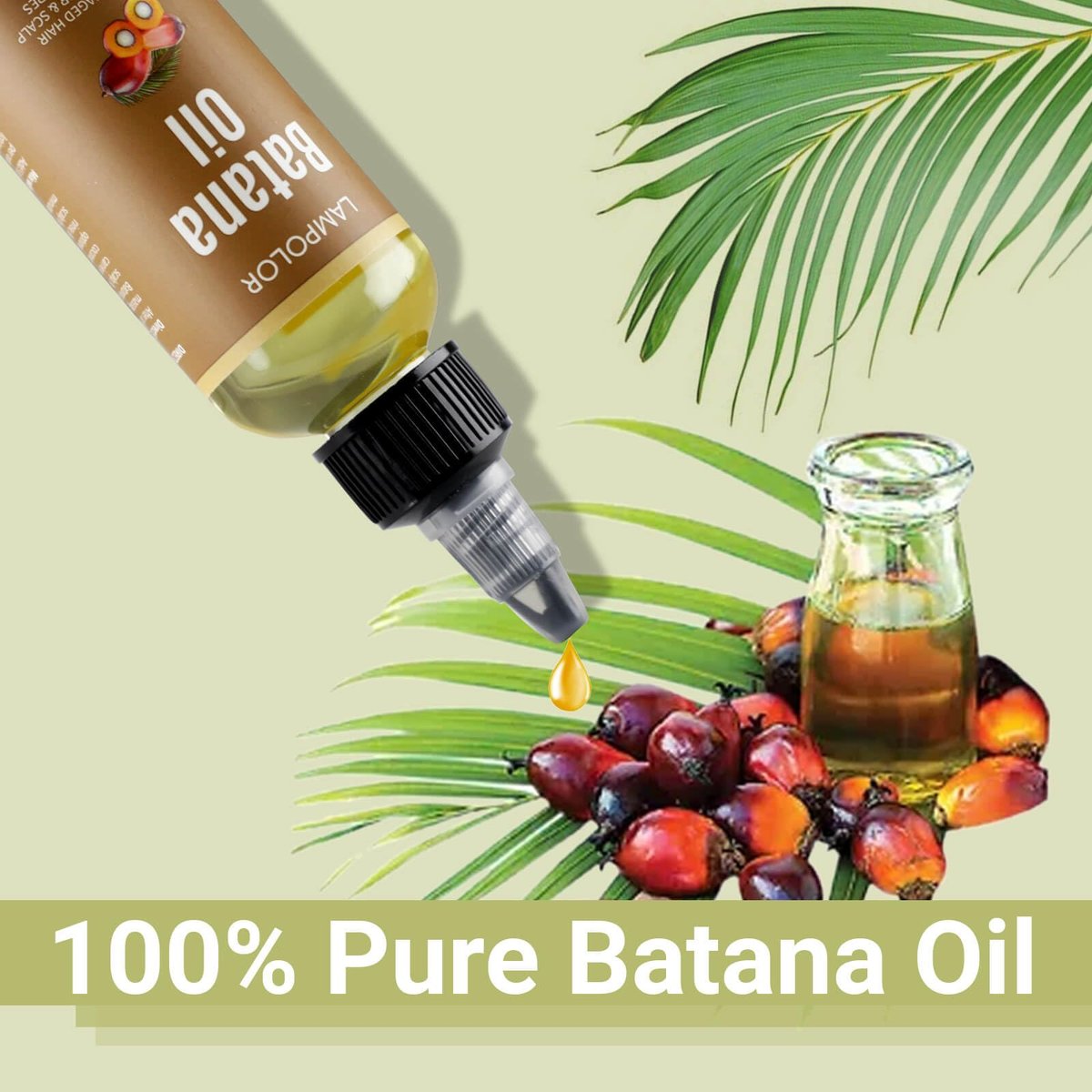 Lampolar RAW Batana Oil for Hair Growth - Dr Sebi Organic Unrefined Batana Oil from Honduras, 100% Pure & Natural, Thicker & Stronger Hair - 2 Fl Oz (60 ml) - 1 Pack - görsel 5