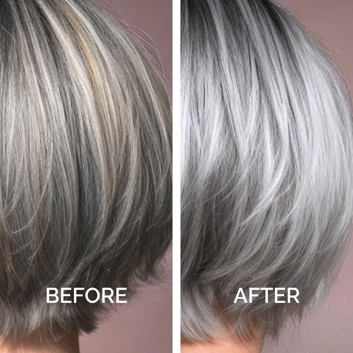 Just Nutritive Purple Toning Shampoo for Blonde, Gray, White, Silver, and Bleached Hair - Eliminate Brassiness, Boost Shine, Repairs, Hydrates, Sulfate-Free, Paraben-Free, Anti-Yellowing, 8 oz. Avelisse