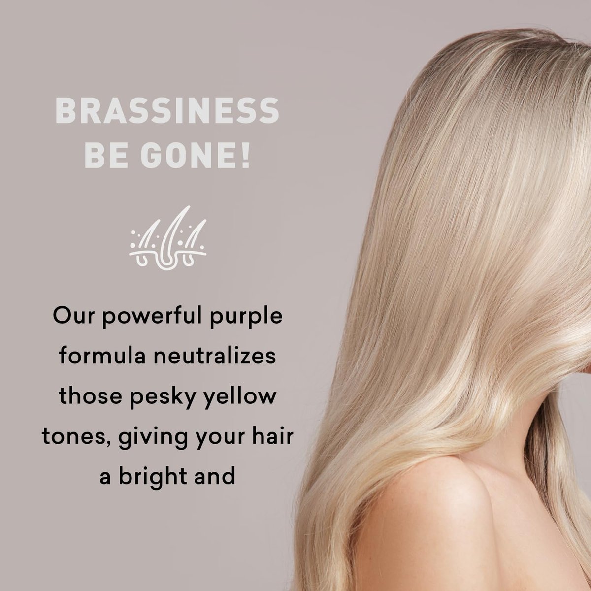 Just Nutritive Purple Conditioner for Blonde, Gray, White, Silver, and Bleached Hair - Eliminate Brassiness, Boost Shine, Repairs, Hydrates, Sulfate-Free, Paraben-Free, Gentle on Scalp, 8 oz. Avelisse