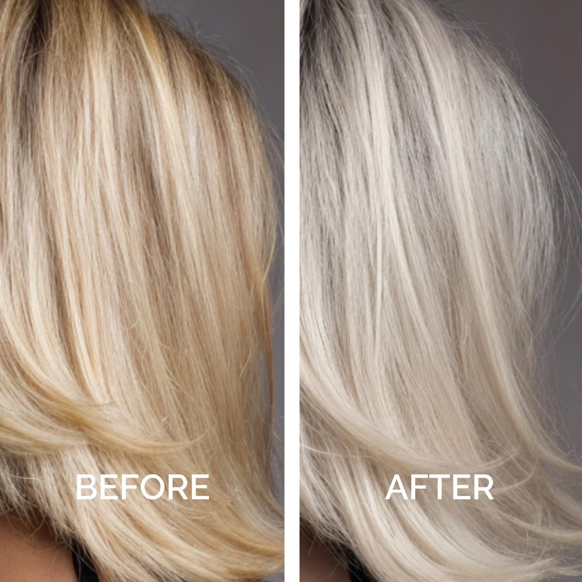 Just Nutritive Purple Conditioner for Blonde, Gray, White, Silver, and Bleached Hair - Eliminate Brassiness, Boost Shine, Repairs, Hydrates, Sulfate-Free, Paraben-Free, Gentle on Scalp, 8 oz. Avelisse