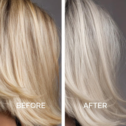 Just Nutritive Purple Conditioner for Blonde, Gray, White, Silver, and Bleached Hair - Eliminate Brassiness, Boost Shine, Repairs, Hydrates, Sulfate-Free, Paraben-Free, Gentle on Scalp, 8 oz. Avelisse