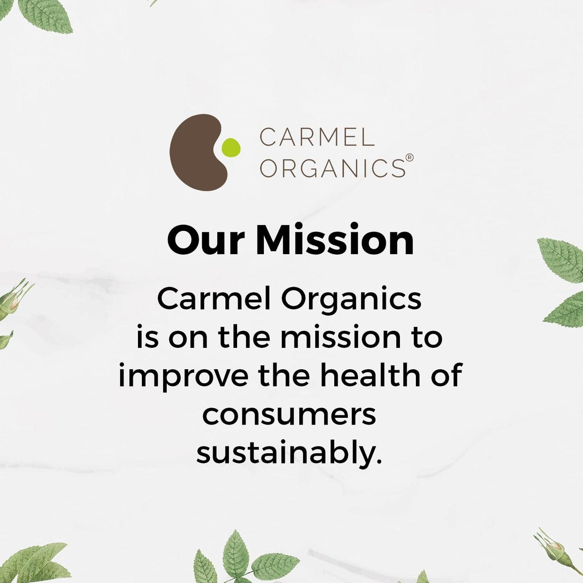 CARMEL ORGANICS Herbal Hair Oil Mix | 21 Herbs for Hair Growth | DIY Oil Infusion | Bhringraj, Fenugreek, Rosemary, Hibiscus | No Preservatives, Non-GMO | 4 oz - görsel 15