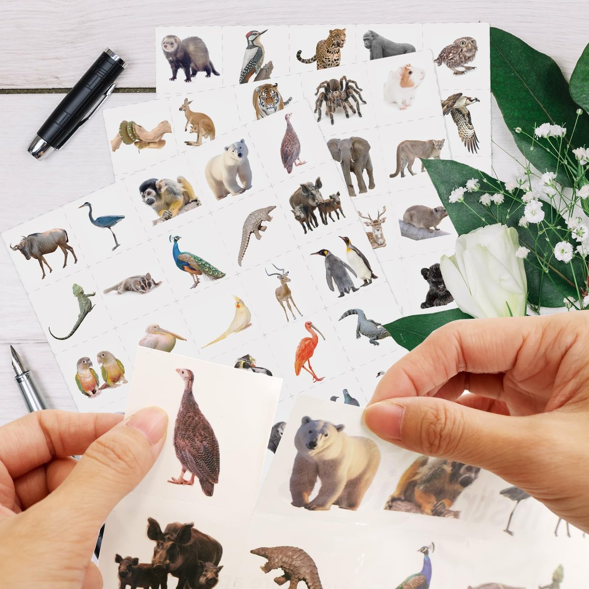 Fancy Land 140Pcs Safari Temporary Tattoos for Kids – Jungle Animal Individual Tattoos for Wild Theme Birthday Party Decorations, Favors, Baby Shower Supplies, Goodie Bag Stuffers - görsel 9
