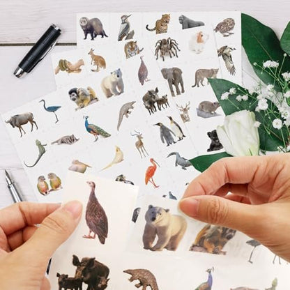 Fancy Land 140Pcs Safari Temporary Tattoos for Kids – Jungle Animal Individual Tattoos for Wild Theme Birthday Party Decorations, Favors, Baby Shower Supplies, Goodie Bag Stuffers