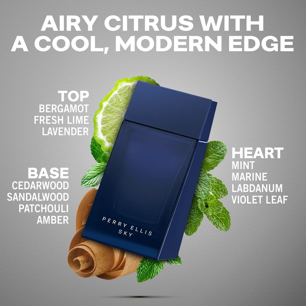 Perry Ellis Sky Eau De Toilette Spray for Men - 3.4 fl oz (100 mL) - Long Lasting Citrus & Woody Fragrance Avelisse