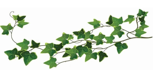 Large Ivy Leaf Vine Temporary Tattoos – 12 Sheets | Green Poison Ivy Costume Accessory | Waterproof & Easy to Apply