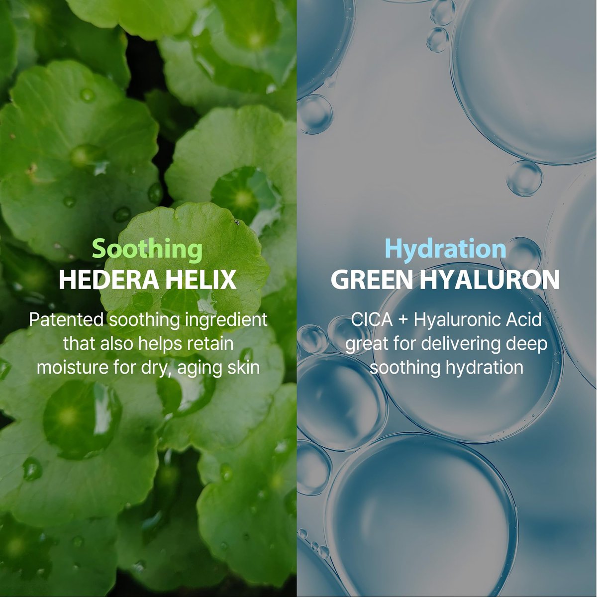 MILKTOUCH Green Hyaluron 6-Second Soothing Cream - Hydrating Gel Moisturizer for Sensitive, Dry, Oily Skin - Reduces Redness, Irritation, Fine Lines - Centella Asiatica & Hyaluronic Acid 1.69 Fl Oz - görsel 11