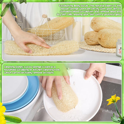 ZhouBoat 11.8 Inches Natural Loofah Sponges Pack of 6 for Kitchen Dishes Body Scrubber Avelisse