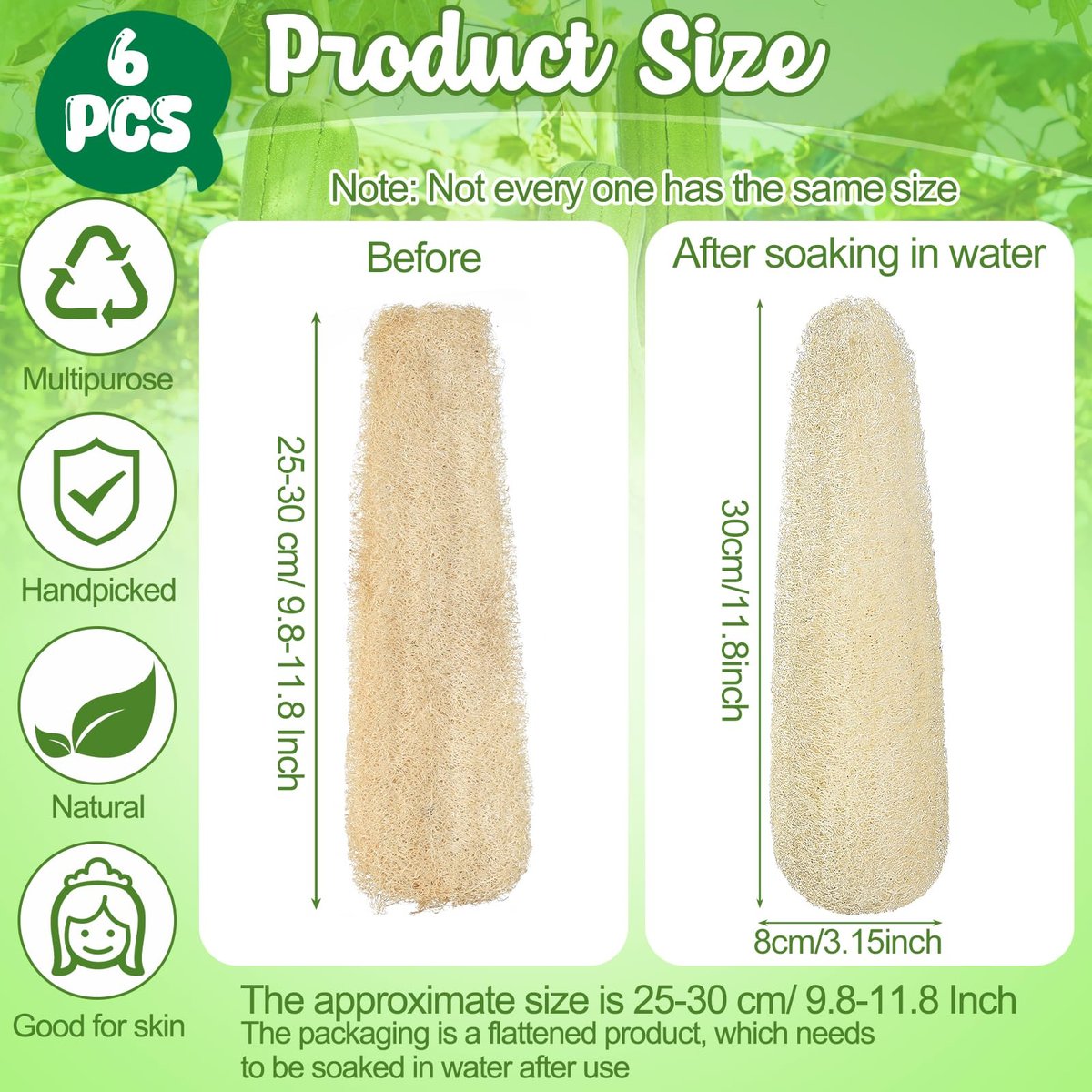 ZhouBoat 11.8 Inches Natural Loofah Sponges Pack of 6 for Kitchen Dishes Body Scrubber Avelisse