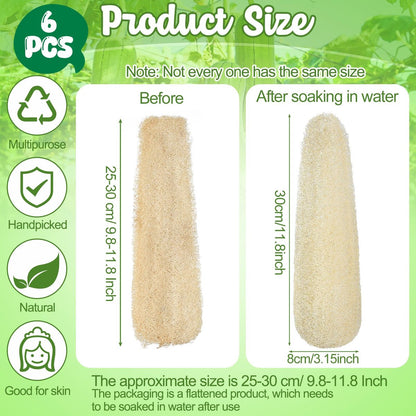 ZhouBoat 11.8 Inches Natural Loofah Sponges Pack of 6 for Kitchen Dishes Body Scrubber Avelisse