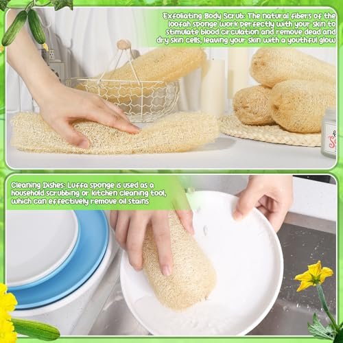 ZhouBoat 11.8 Inches Natural Loofah Sponges Pack of 6 for Kitchen Dishes Body Scrubber Avelisse