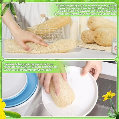ZhouBoat 11.8 Inches Natural Loofah Sponges Pack of 6 for Kitchen Dishes Body Scrubber Avelisse