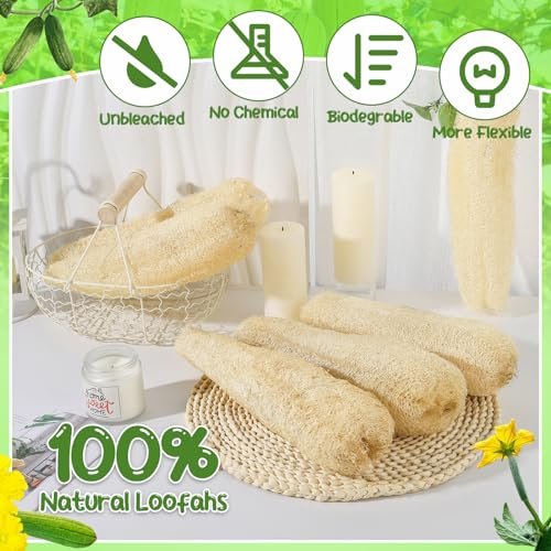 ZhouBoat 11.8 Inches Natural Loofah Sponges Pack of 6 for Kitchen Dishes Body Scrubber Avelisse