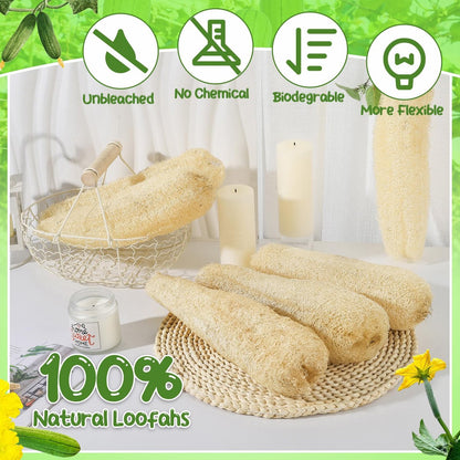 ZhouBoat 11.8 Inches Natural Loofah Sponges Pack of 6 for Kitchen Dishes Body Scrubber Avelisse